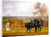 The Ploughing Match, 1813 by Thomas Weaver