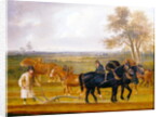 The Ploughing Match, 1813 by Thomas Weaver