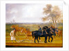 The Ploughing Match, 1813 by Thomas Weaver