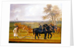 The Ploughing Match, 1813 by Thomas Weaver