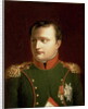 Napoleon Bonaparte by Jacques Louis David