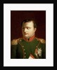 Napoleon Bonaparte by Jacques Louis David