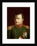 Napoleon Bonaparte by Jacques Louis David