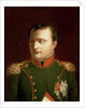 Napoleon Bonaparte by Jacques Louis David
