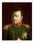 Napoleon Bonaparte by Jacques Louis David