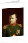 Napoleon Bonaparte by Jacques Louis David