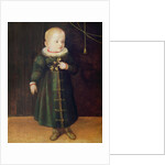 Portrait of a child by Sofonisba Anguissola