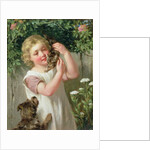 Rivals by George Augustus Holmes