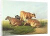 Cattle in a Landscape by Thomas Sidney Cooper