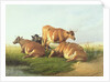 Cattle in a Landscape by Thomas Sidney Cooper