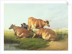 Cattle in a Landscape by Thomas Sidney Cooper