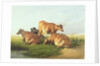 Cattle in a Landscape by Thomas Sidney Cooper