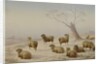 Sheep in Snow, 1880 by Charles Jones
