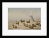 Sheep in Snow, 1880 by Charles Jones