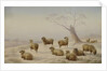 Sheep in Snow, 1880 by Charles Jones