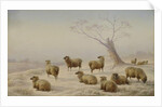 Sheep in Snow, 1880 by Charles Jones