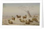 Sheep in Snow, 1880 by Charles Jones