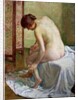 The Bather by Theo van Rysselberghe