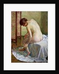 The Bather by Theo van Rysselberghe