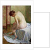The Bather by Theo van Rysselberghe