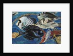 Poissons, c.1950 by Mildred Bendall