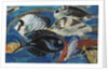 Poissons, c.1950 by Mildred Bendall
