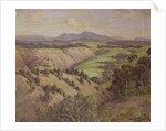 The Mamaku Valley by John Duncan