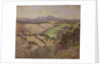 The Mamaku Valley by John Duncan