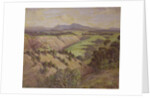 The Mamaku Valley by John Duncan