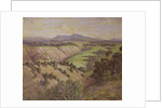 The Mamaku Valley by John Duncan
