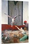 The Pet Flamingo by Georges Clairin
