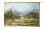 New Zealand Landscape, 1872 by Ebenezer Wake Cook