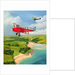 Mothecombe Moths, 1999 by Richard Wheatland