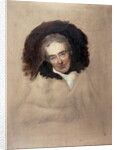 Portrait of William Wilberforce by George Richmond by Thomas Lawrence