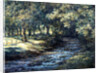 English River by Richard Willis
