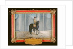 No. 17 A dark bay horse of the Spanish Riding School performing a 'shoulder-in' dressage step by Baron Reis d' Eisenberg