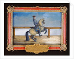 No. 45 A horse of the Spanish Riding School performing a dressage movement called the 'Courbette' by Baron Reis d' Eisenberg
