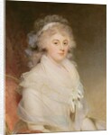 Elizabeth Beauclerk, Lady Herbert by William Beechey