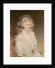 Elizabeth Beauclerk, Lady Herbert by William Beechey