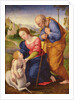 The Holy Family with the Lamb by Giovanni Francesco Penni