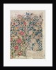 Rose wallpaper design by William Morris