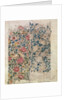 Rose wallpaper design by William Morris