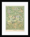 Adam and Eve design by Charles Francis Annesley Voysey