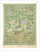 Adam and Eve design by Charles Francis Annesley Voysey