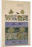 Design intended to show two distinct colour schemes by Charles Francis Annesley Voysey