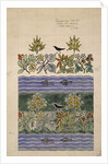 Design intended to show two distinct colour schemes by Charles Francis Annesley Voysey