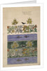 Design intended to show two distinct colour schemes by Charles Francis Annesley Voysey