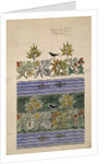 Design intended to show two distinct colour schemes by Charles Francis Annesley Voysey