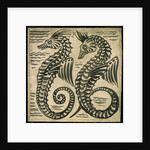 Sea-Horse by William De Morgan