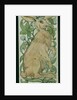 Hare by William De Morgan